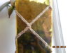 DSCN2632.JPG