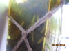 DSCN2633.JPG