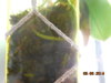 DSCN2634.JPG