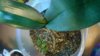 WP_20140808_08_06_28_Pro.jpg