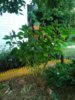 20140811200259.jpg