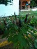 20140811200331.jpg