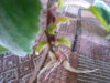 DSCN3273.JPG