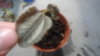 DSC01994.JPG