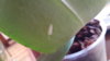 20140820_105617.jpg
