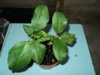 DSC03565.JPG