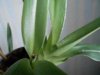 DSCN1938.JPG