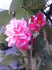 20140824_194043.jpg