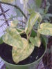 20140824_194202.jpg