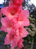 20140824_194221.jpg