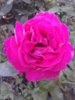 20140824_194257.jpg