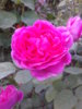 20140824_194312.jpg