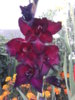 20140824_194457.jpg