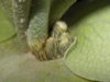 RSCN2682.JPG