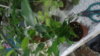 DSC02279.JPG