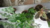 DSC02275.JPG