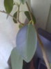 05092014401.jpg