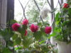 2014-09-07 13-45-33.JPG