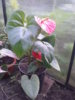 20140906_172150.jpg