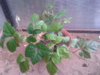 20140906_172436.jpg