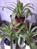 20140909_125352.jpg