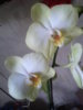 20140906_075349.jpg