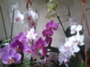 20140828_154645.jpg