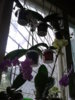 20140829_121035.jpg