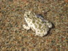 DSC04528.JPG