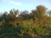 DSC04433.JPG