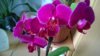 WP_20140330_13_22_11_Pro.jpg