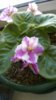 WP_20140510_12_21_12_Pro.jpg