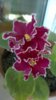 WP_20140517_15_20_46_Pro.jpg