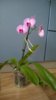 WP_20140606_16_00_09_Pro.jpg