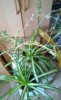 WP_20140910_15_47_17_Pro.jpg