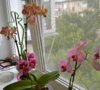 WP_20140626_16_53_25_Pro.jpg