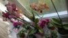 WP_20140807_18_00_36_Pro.jpg