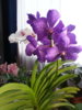 20130315_170147.jpg