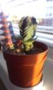 IMAG0166.jpg