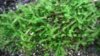WP_20140916_20_08_43_Pro.jpg