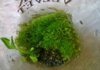 WP_20140916_20_11_28_Pro.jpg