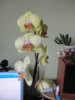 DSC05065.JPG