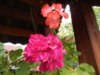 DSCN4847.JPG