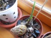 DSCN1066.JPG
