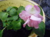 DSCN0576.JPG