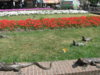 IMG_1697.JPG