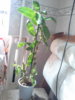 20140909_154157.jpg