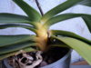 DSC08810.JPG