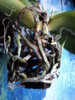 DSC08812.JPG