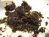 PICT3048.JPG